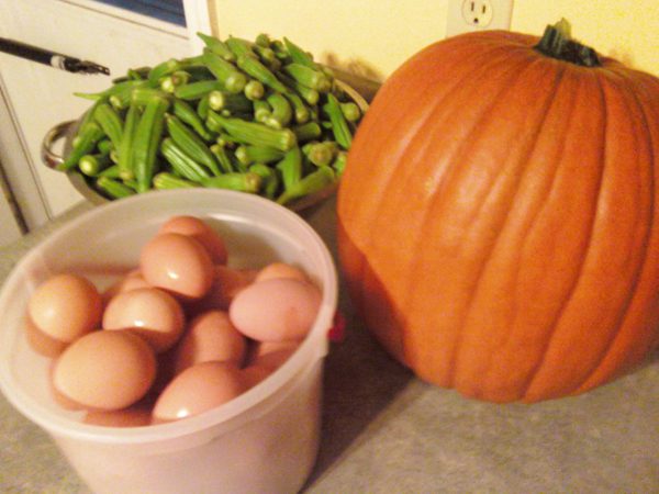 fresh picked okra, a home grown pumpkin and freshly gathered eggs