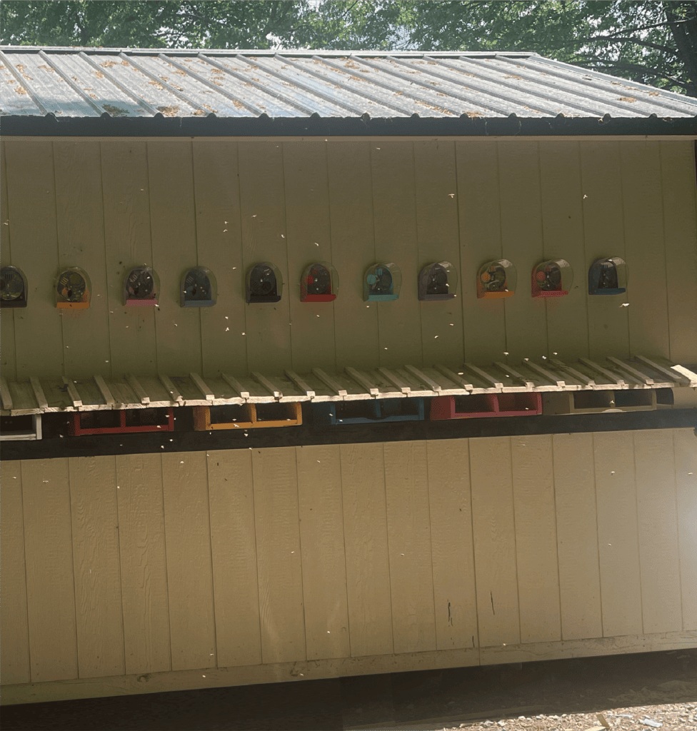 Tennessee Bee House landing board side with bees flying around