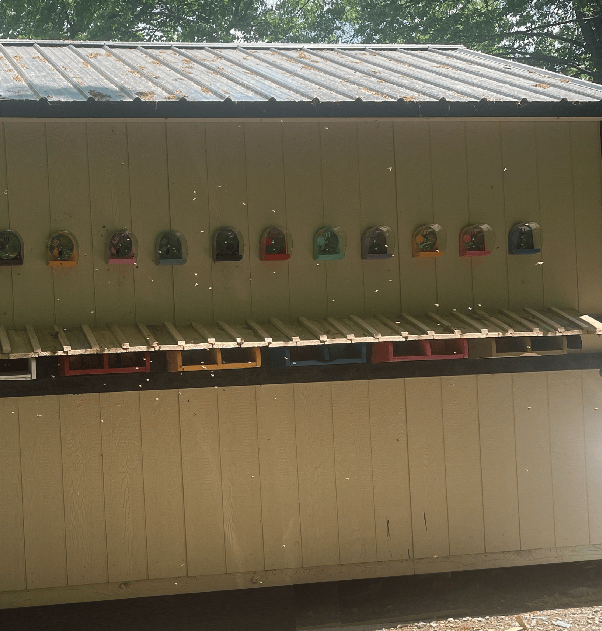 Tennessee Bee House landing board side with bees flying around